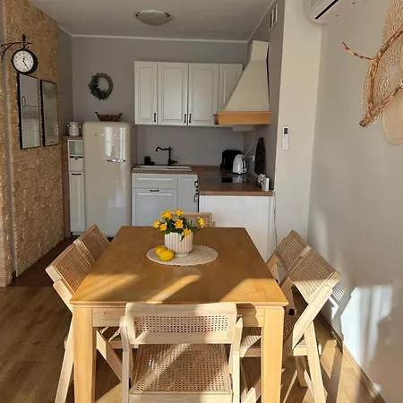 Stella أوسترون